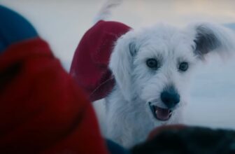 Krypto Shines in Brand New Footage From James Gunn’s Superman